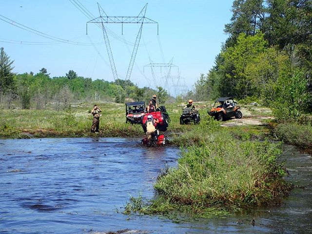 #Honda #water #wheelie #swampdonkeys