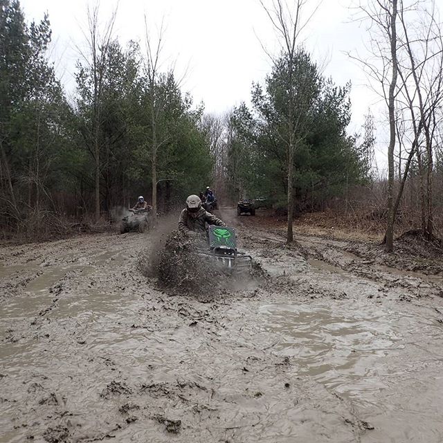 #Arcticcat #Swampdonkeys