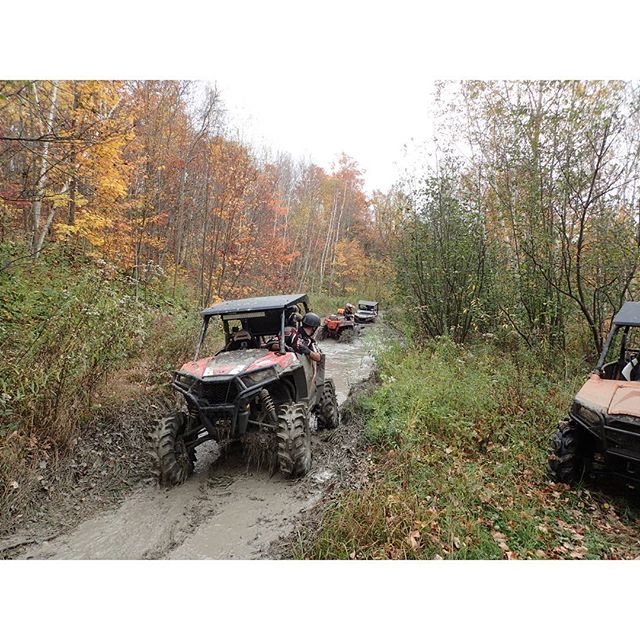 #rzr900 #swampdonkeys