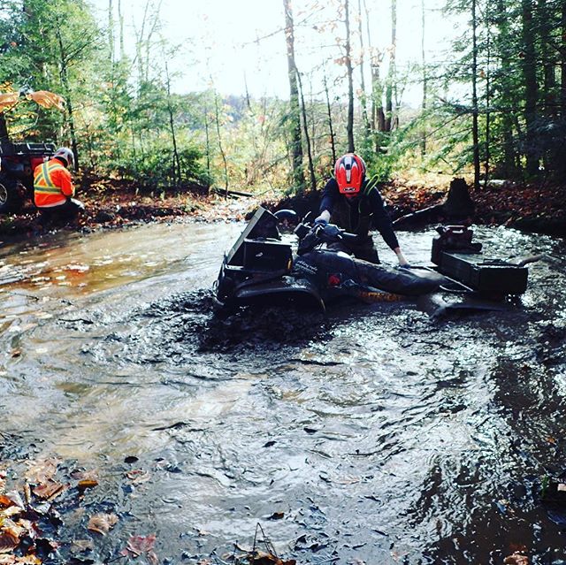 Walking the #arcticcat #swampdonkeys